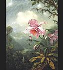 Martin Johnson Heade Famous Paintings - Hummingbird Perched on an Orchid Plat